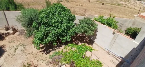 Vente Local Chlef Oued sly