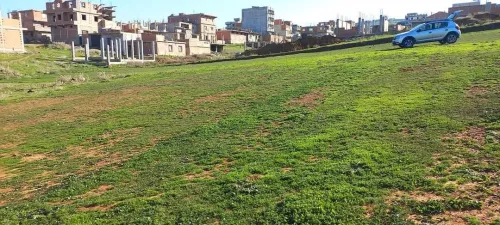 Vente Terrain Boumerdès Khemis el khechna
