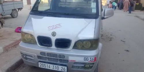 DFM 250 2010 