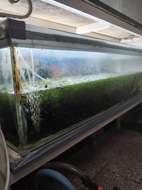 Aquarium 