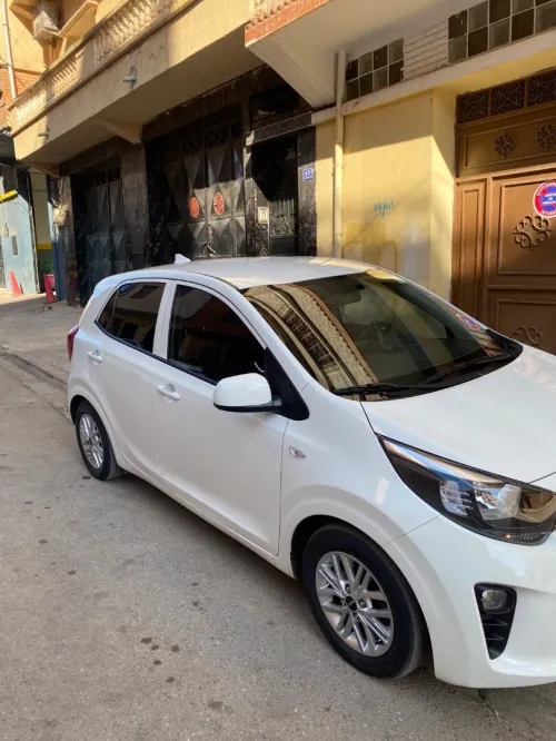 Kia Picanro 2023 Dynamic line