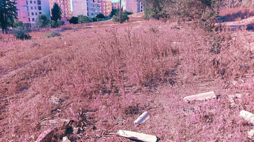 Vente Terrain Tipaza Ahmar el ain