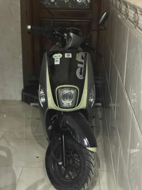 Coxi2 Haynei 2025