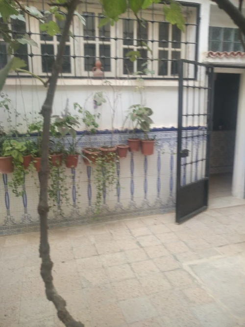 Vente Villa Blida Boufarik
