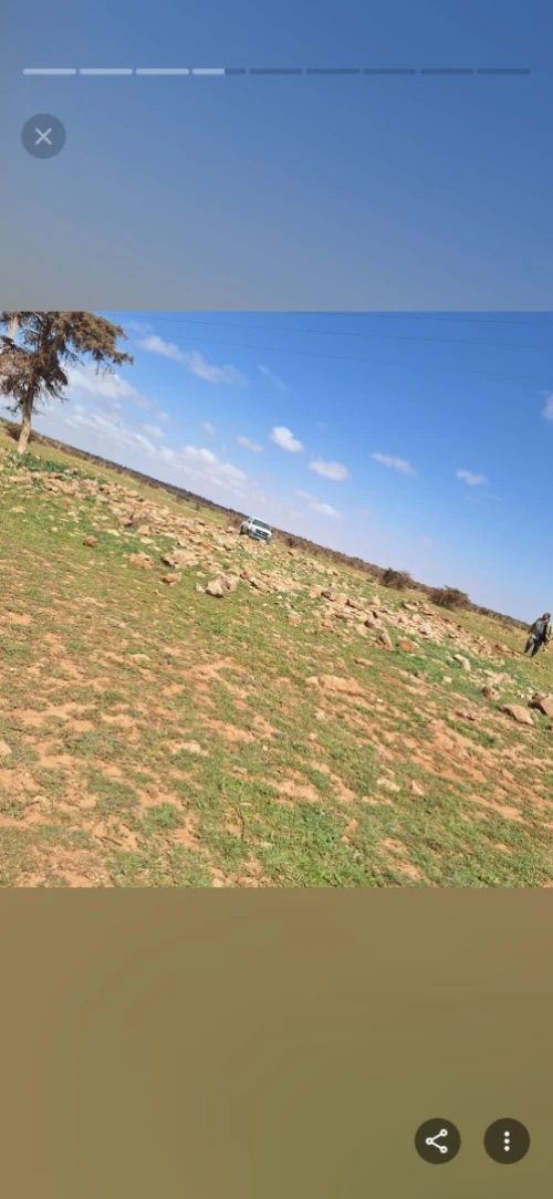 Vente Terrain Agricole Saïda Ain el hadjar