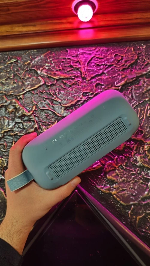 Bose SoundLink flex