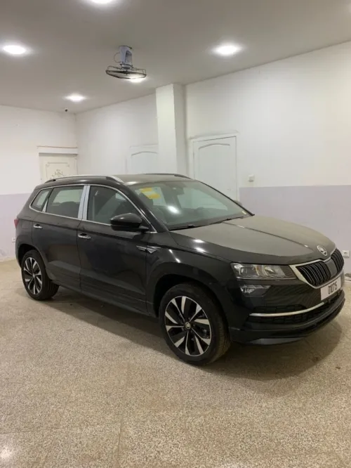 Skoda Karoq 2025 Skoda karoq luxury
