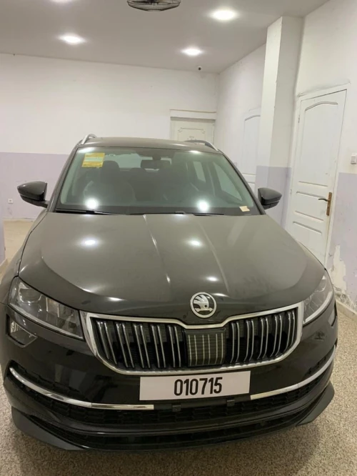 Skoda Karoq 2025 Skoda karoq luxury
