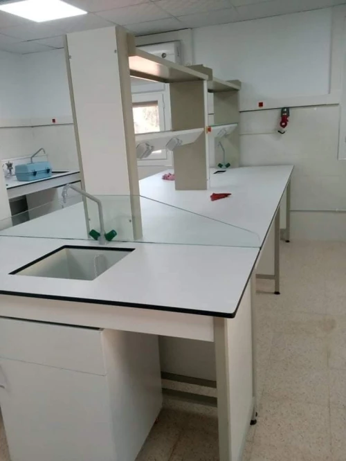 Paillasse de laboratoire 