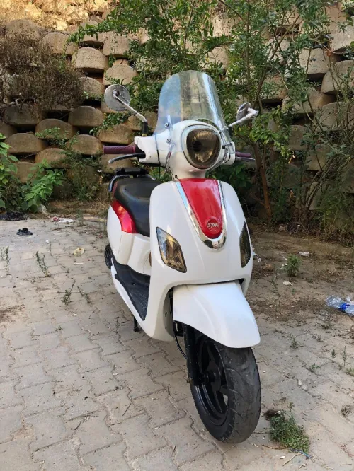 Sym Fiddel 3 2019