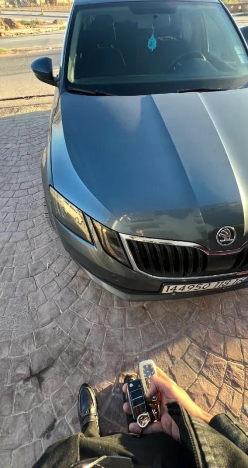 Skoda Octavia 2018 Business