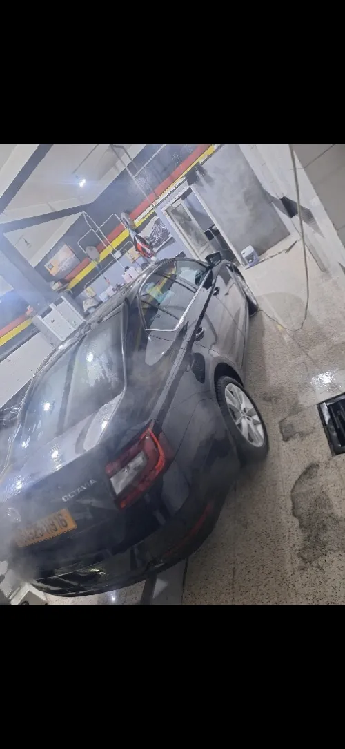 Skoda Octavia 2019 Clever