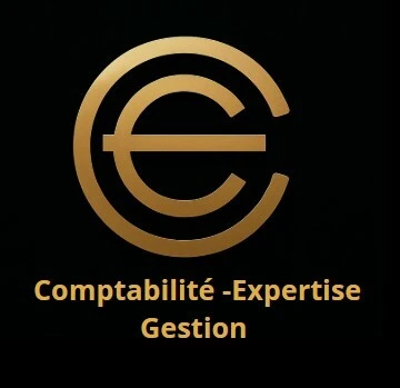 COMMISSAIRE AUX COMPTES /EXPERT COMPTABLE /COMPTABLE AGREE