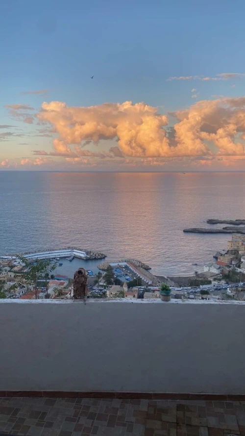 Vente Terrain Alger Rais hamidou