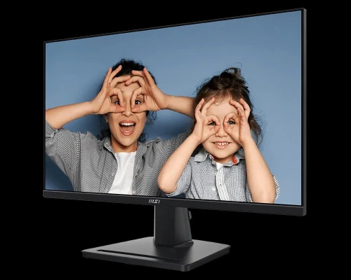 ECRAN MSI MP251 PRO E2 25P 200HZ