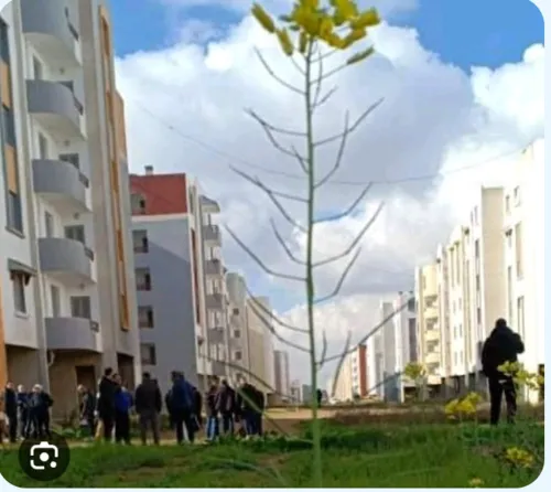 Echange Appartement F3 Alger Reghaia
