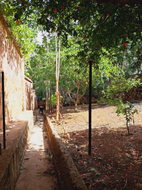 Vente Terrain Medea Medea