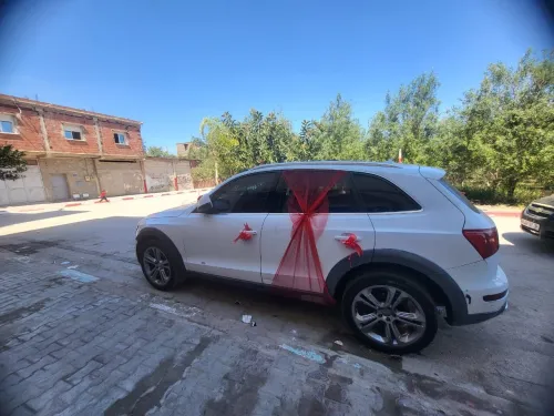 Audi Q5 2013 Offroad