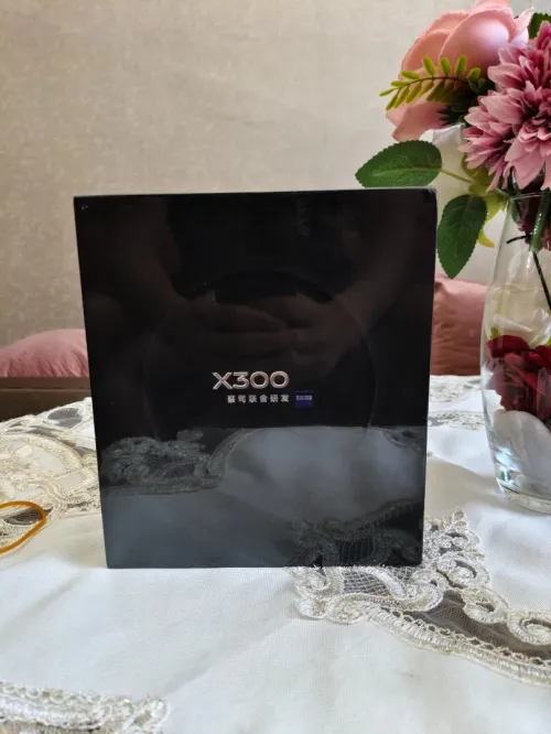 Vivo x300 X300