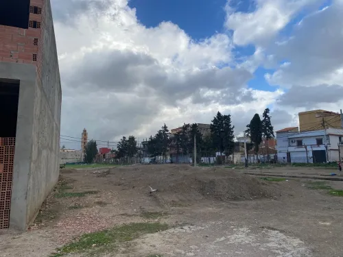 Vente Terrain Alger Sidi moussa