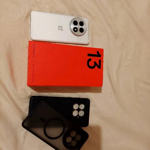 Oneplus 13