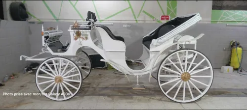 Calèche classique 