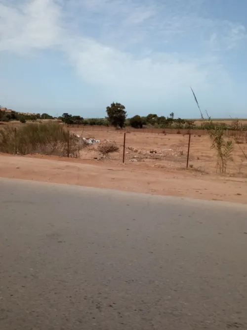 Vente Terrain Mostaganem Stidia