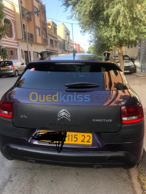 Citroen C4 Cactus 2015 C4 Cactus