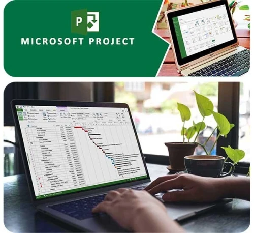 Microsoft Visio & Project  professional Bind