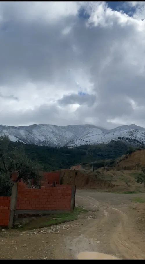 Vente Terrain Blida Ain romana