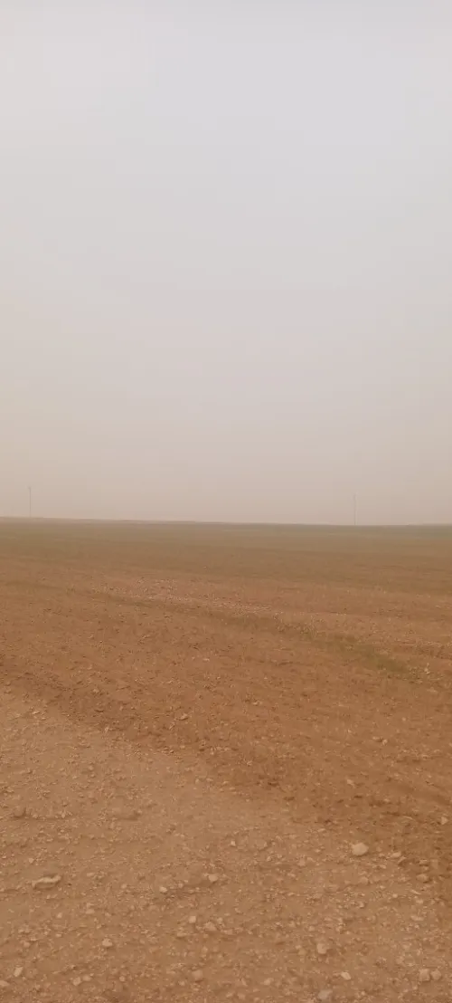 Vente Terrain Agricole Saïda Sidi ahmed