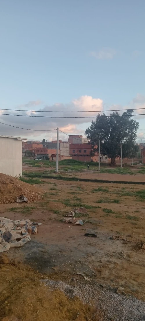 Vente Terrain Saïda Saida