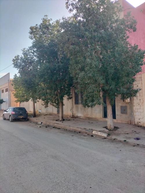 Vente Usine Aïn Témouchent Hammam bouhadjar