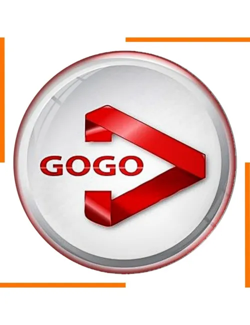 Abonnement GOGO Premium 12 mois.