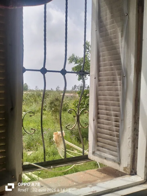 Vente Appartement F3 Boumerdès Zemmouri