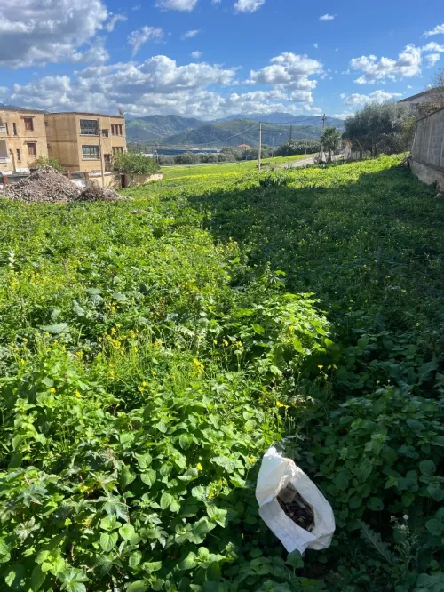 Vente Terrain Béjaïa El kseur