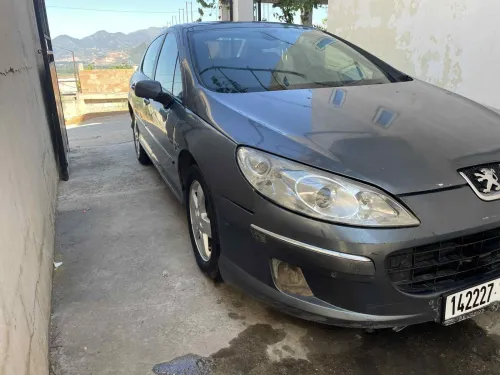 Peugeot 407 2009 407