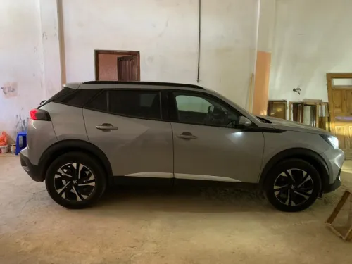 Peugeot 2008 2021 Erg