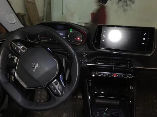 Peugeot 2008 2021 Erg