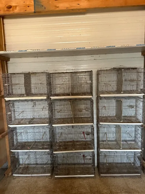 Cage 