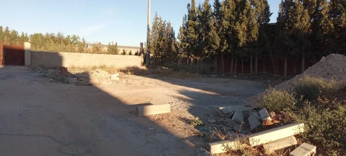 Vente Terrain Sétif Guidjel