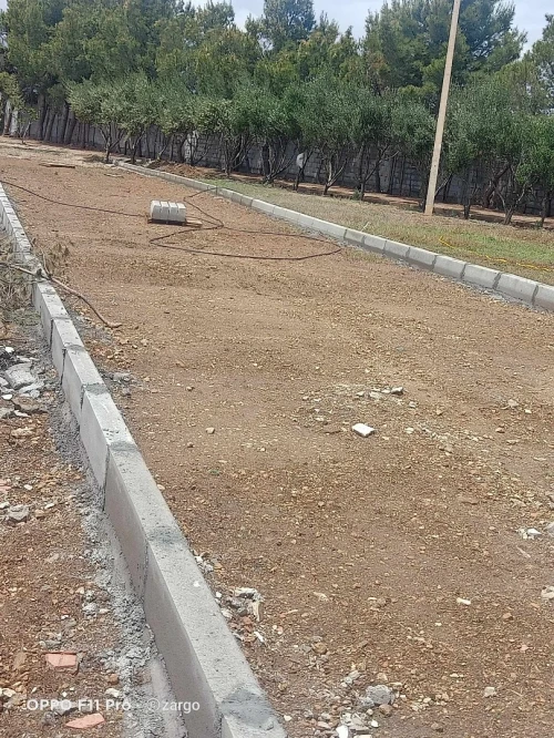 Vente Terrain Sétif Guidjel