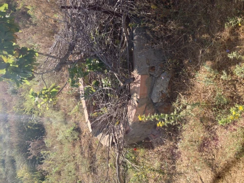 Vente Terrain Blida El affroun
