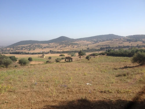 Vente Terrain Blida El affroun