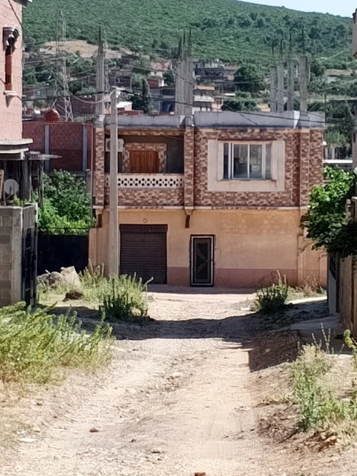 Vente Terrain El Tarf Ain el assel
