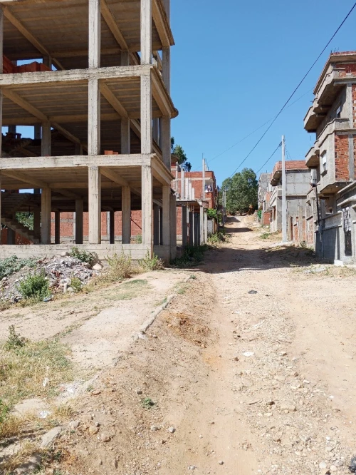 Vente Terrain El Tarf Ain el assel