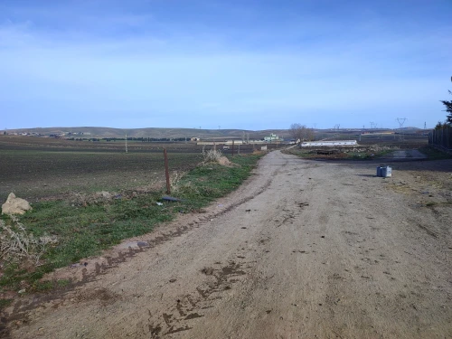 Vente Terrain Agricole Sétif El ouricia