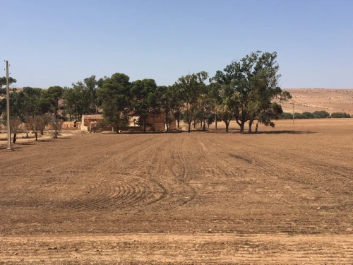 Vente Terrain Agricole Oran Boufatis