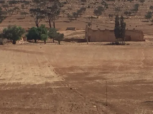 Vente Terrain Agricole Oran Boufatis