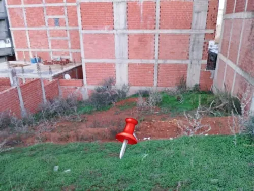 Vente Terrain Alger Saoula